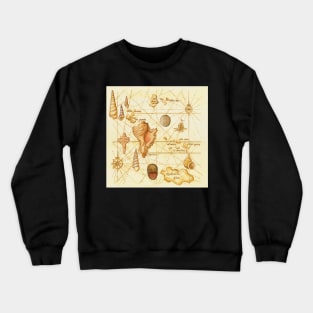 Sea with Shells Crewneck Sweatshirt